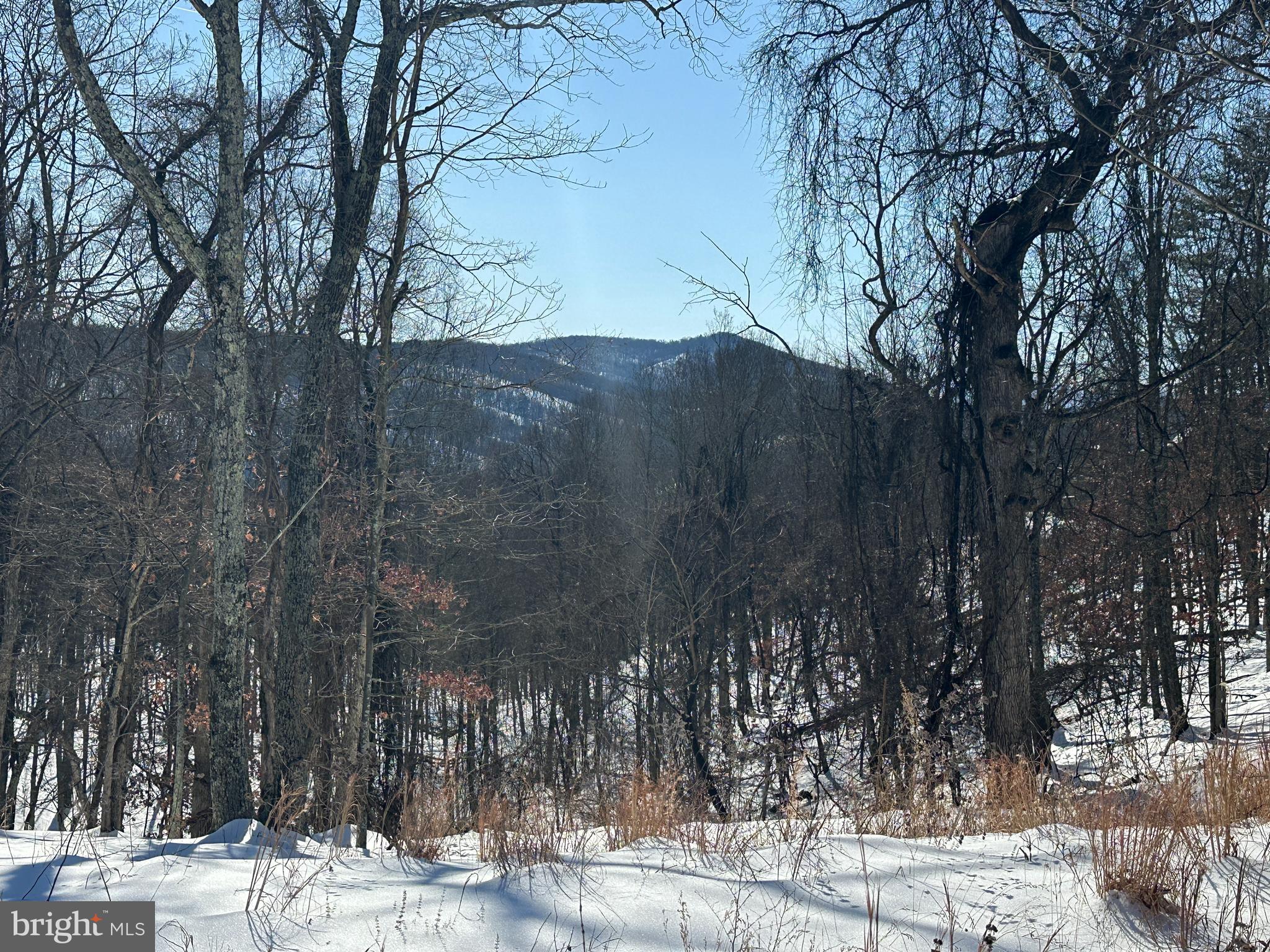 RIDGES AT SOUTH BRANCH - Land