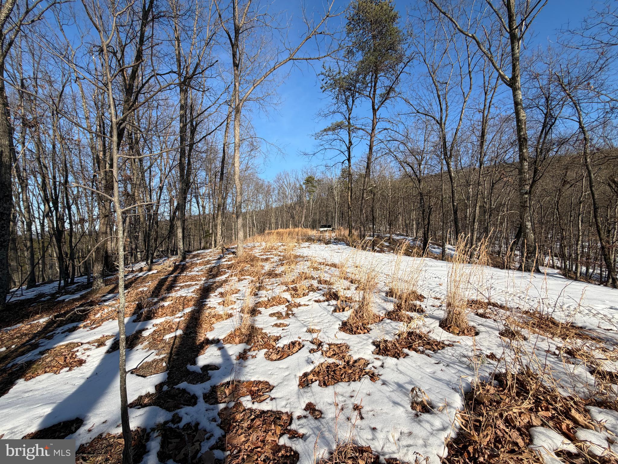 RIDGES AT SOUTH BRANCH - Land