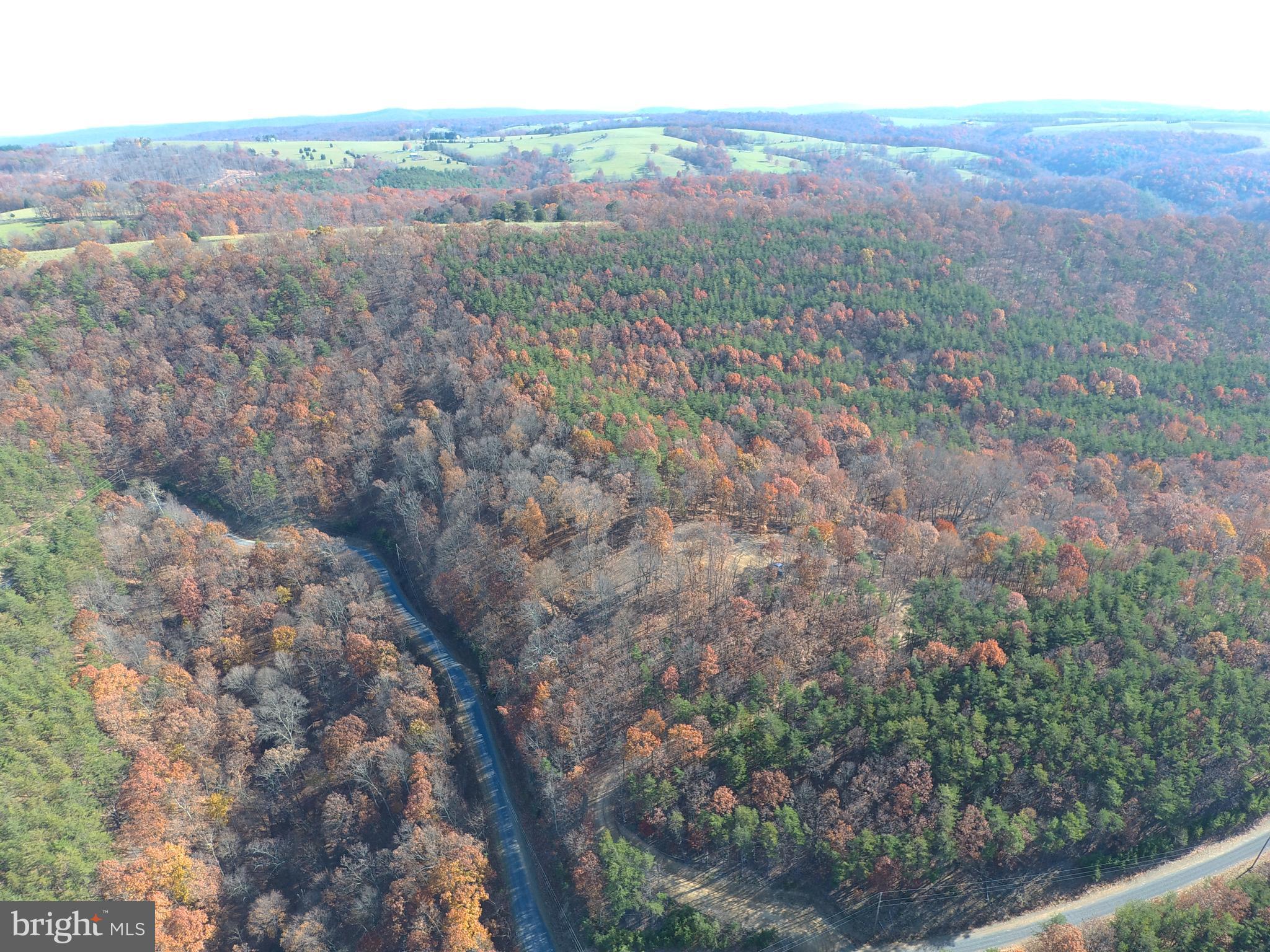 RIDGES AT SOUTH BRANCH - Land