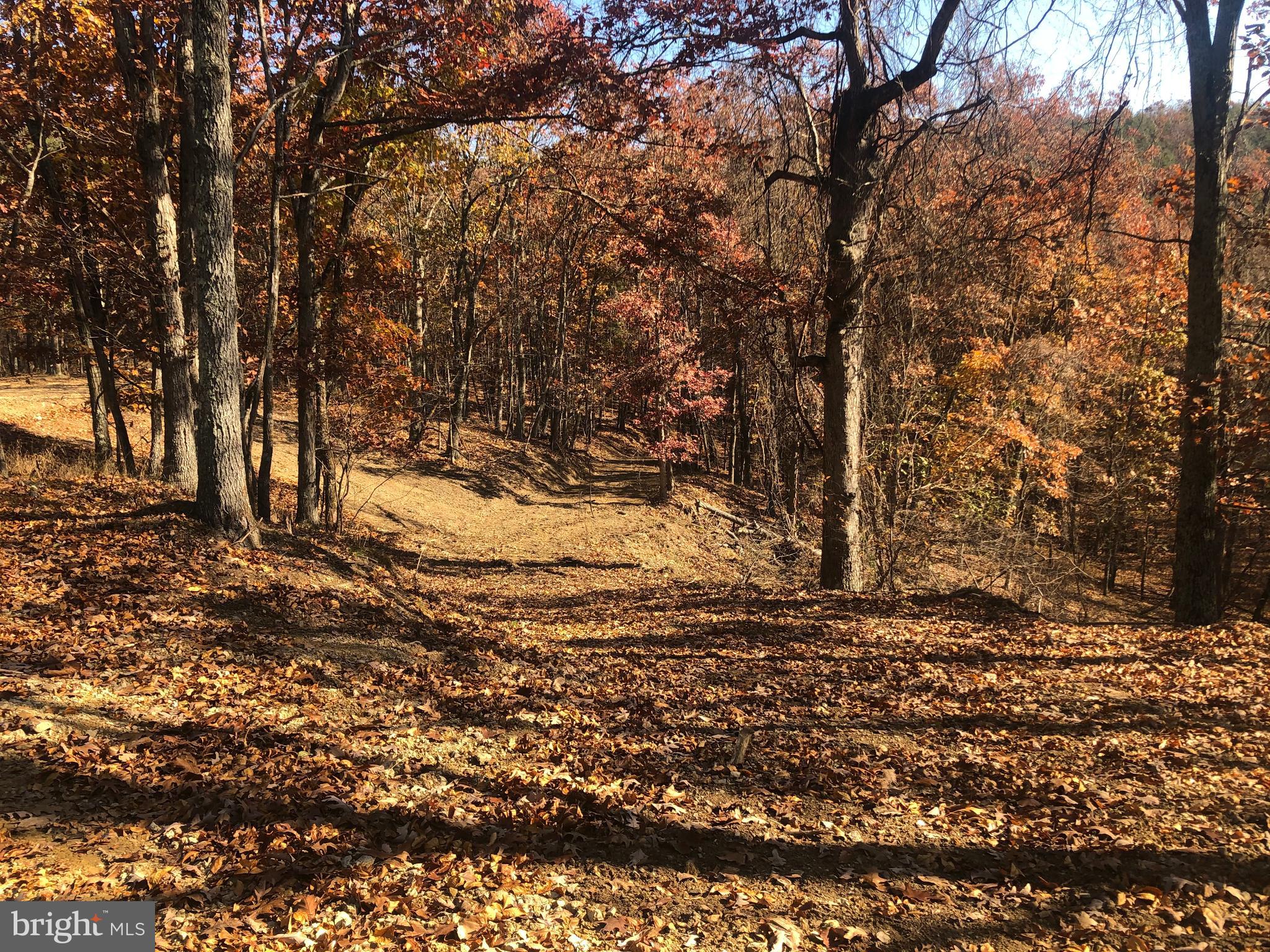 RIDGES AT SOUTH BRANCH - Land