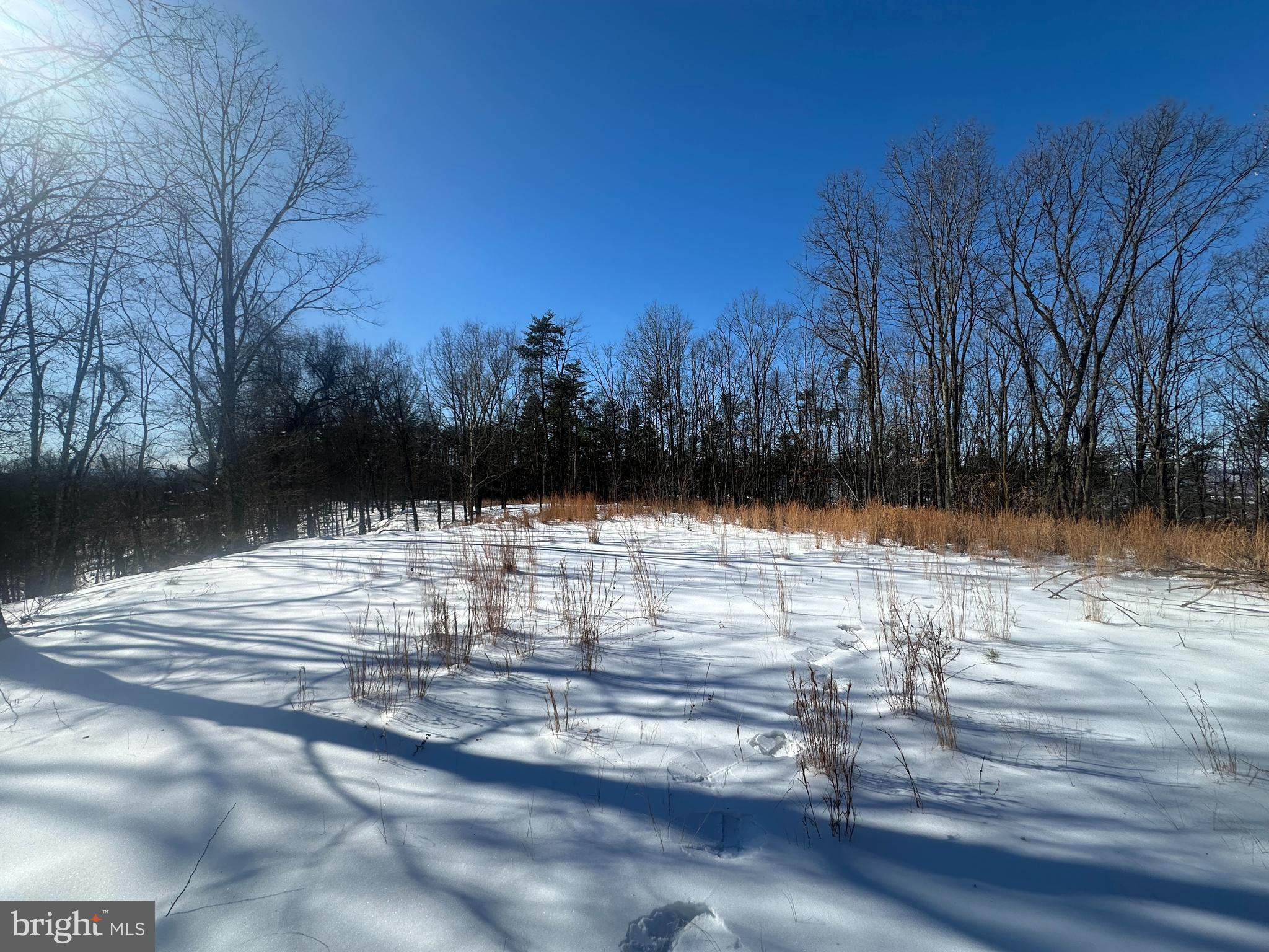 RIDGES AT SOUTH BRANCH - Land