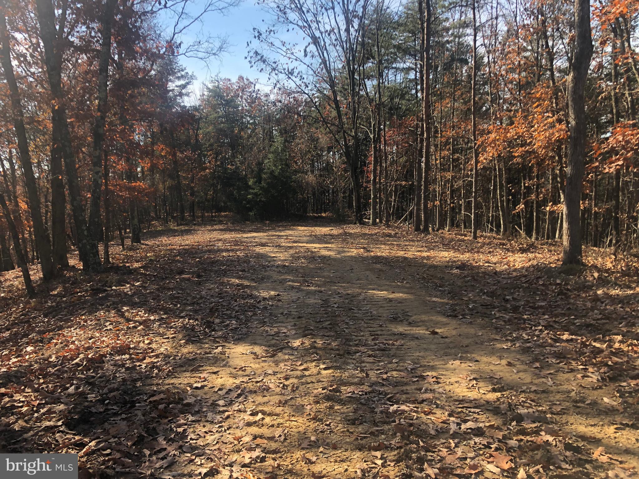 RIDGES AT SOUTH BRANCH - Land