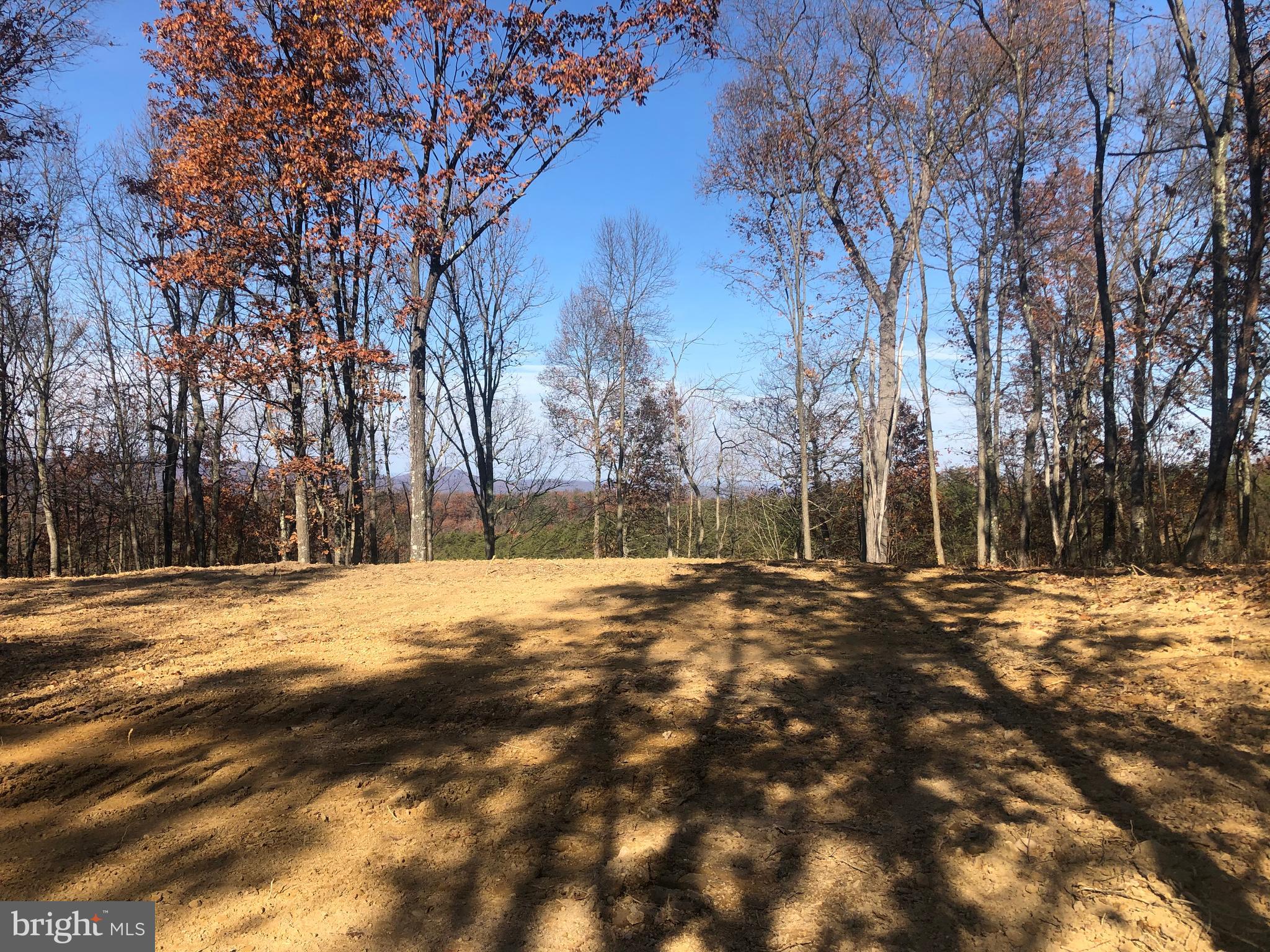 RIDGES AT SOUTH BRANCH - Land