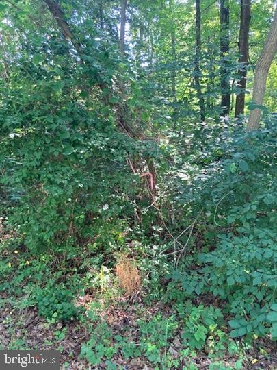 STRATFORD HARBOUR - Land