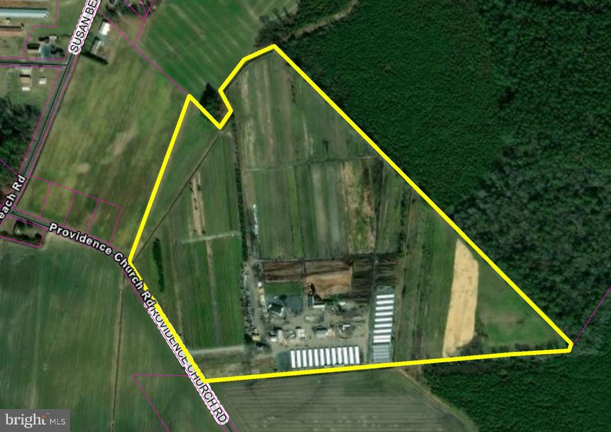 68 acre agribusiness opportunity! Full scale wholesale/retail nursery and landscaping operation. Plenty of room for trucks, materials storage and distribution. Multiple buildings for various uses including office, shop, warehouse, vehicle storage sheds, and many greenhouse structures. Suitable for other agribusiness possibilities too!
OR looking for development land? It's 68 acres CLEAR LAND--could be subdivided into residential building lots tucked away from it all in Southwestern Sussex County!