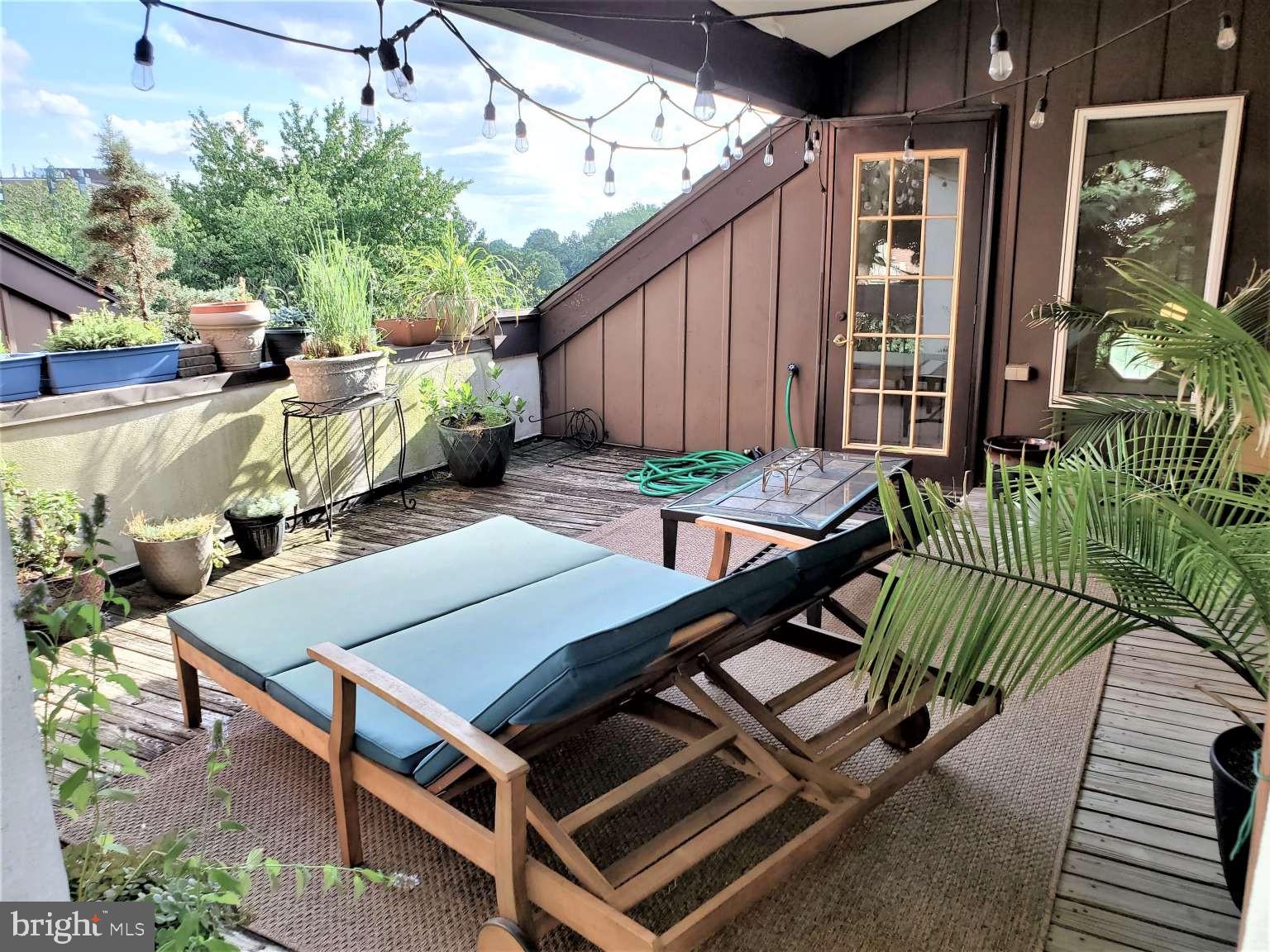 CHESTNUT HILL - Residential Lease