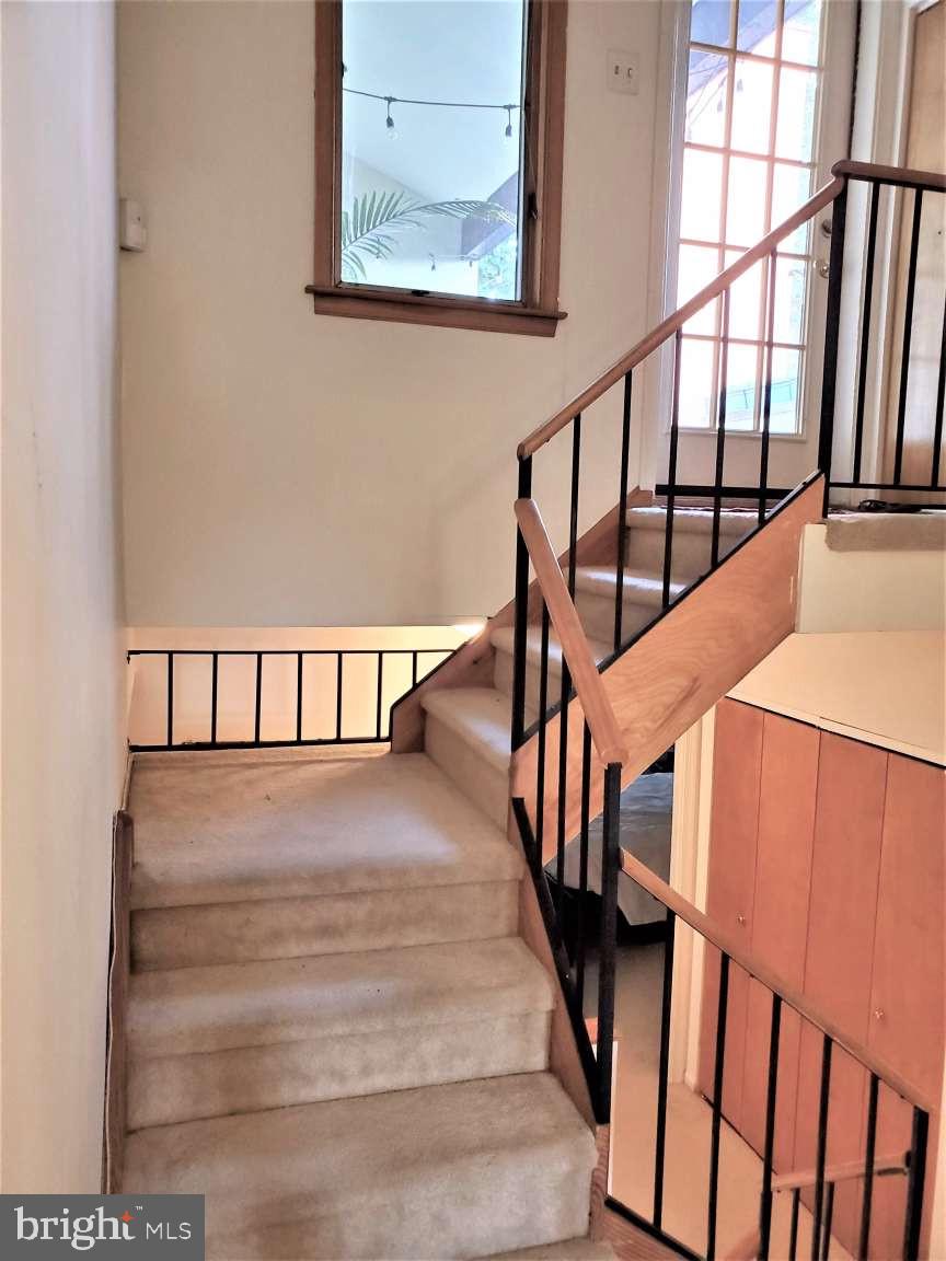 CHESTNUT HILL - Residential Lease