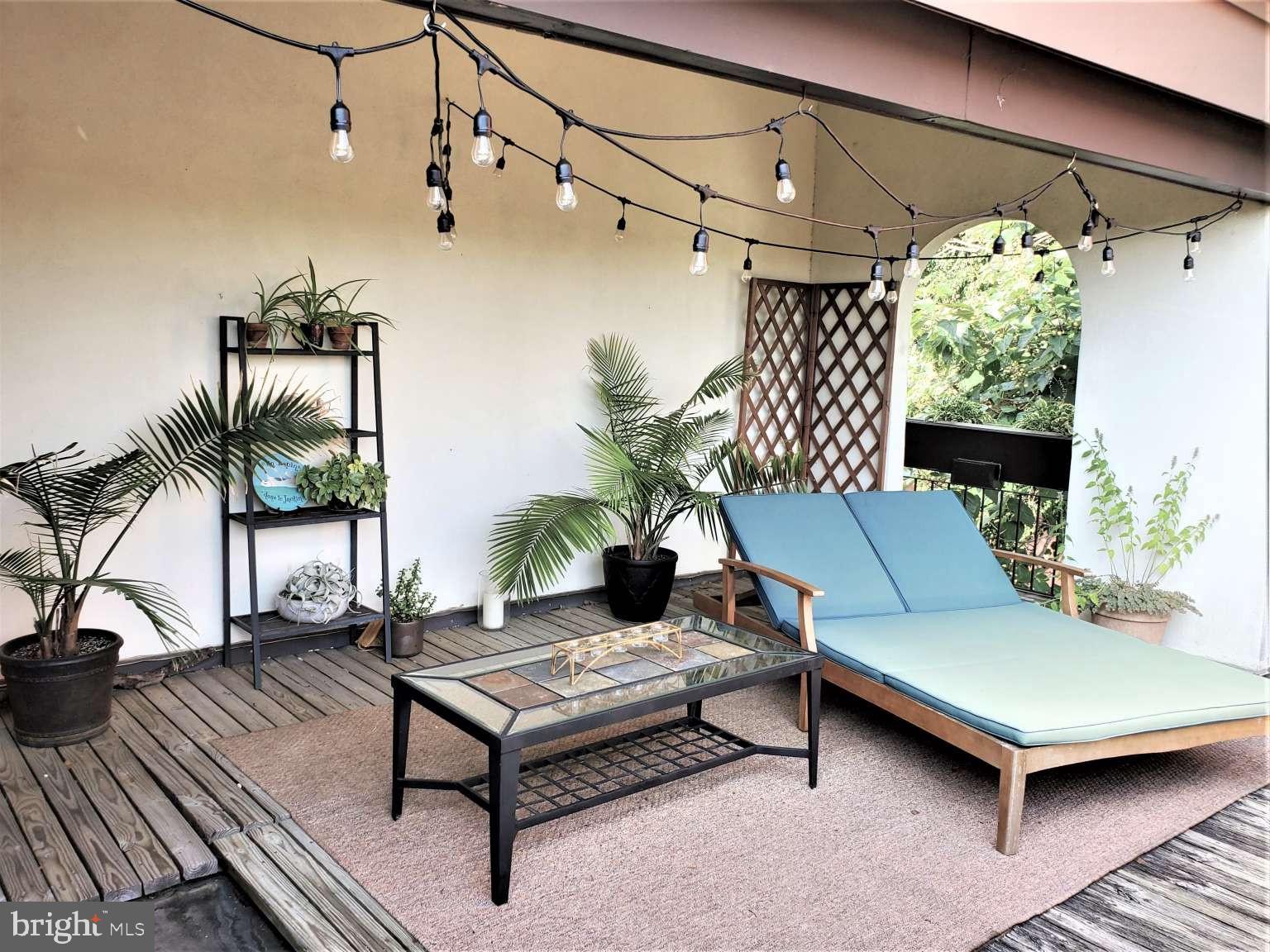 CHESTNUT HILL - Residential Lease