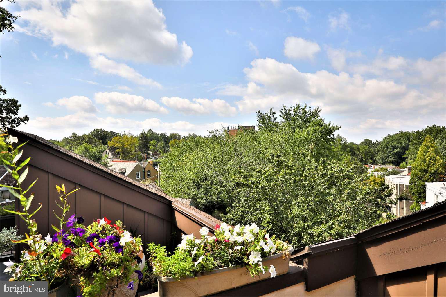 CHESTNUT HILL - Residential Lease