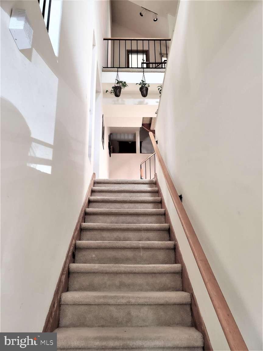 CHESTNUT HILL - Residential Lease