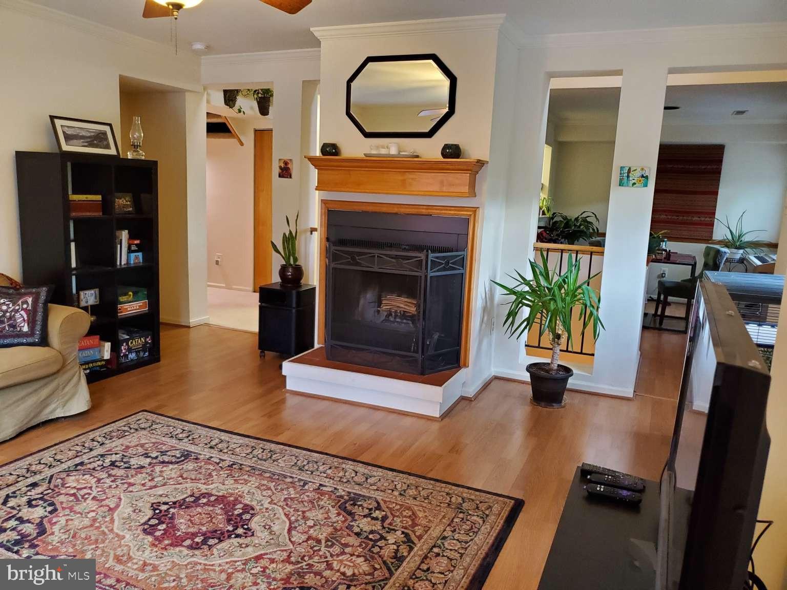 CHESTNUT HILL - Residential Lease