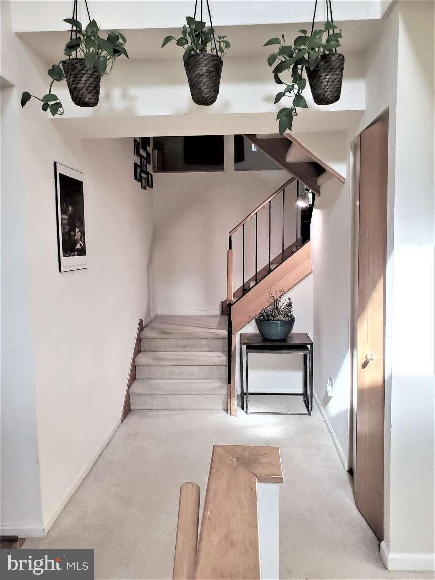 CHESTNUT HILL - Residential Lease