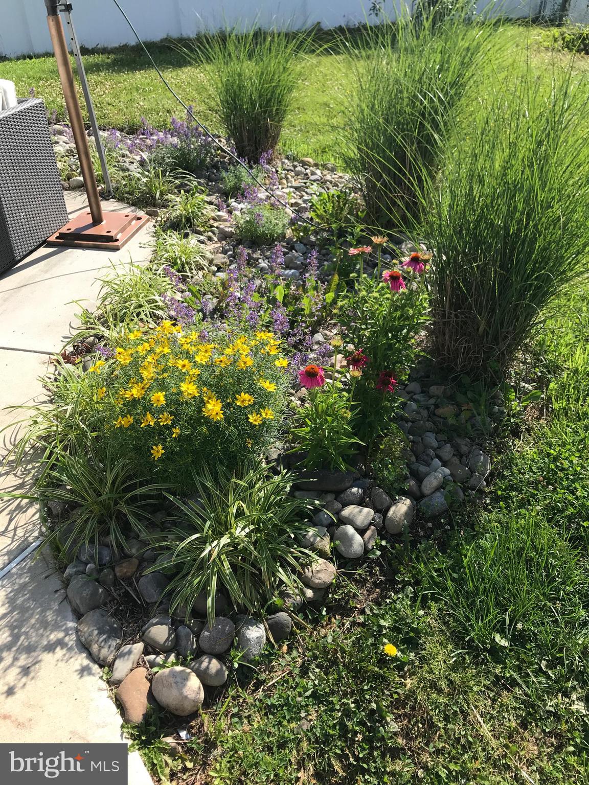 NESHAMINY VALLEY - Residential