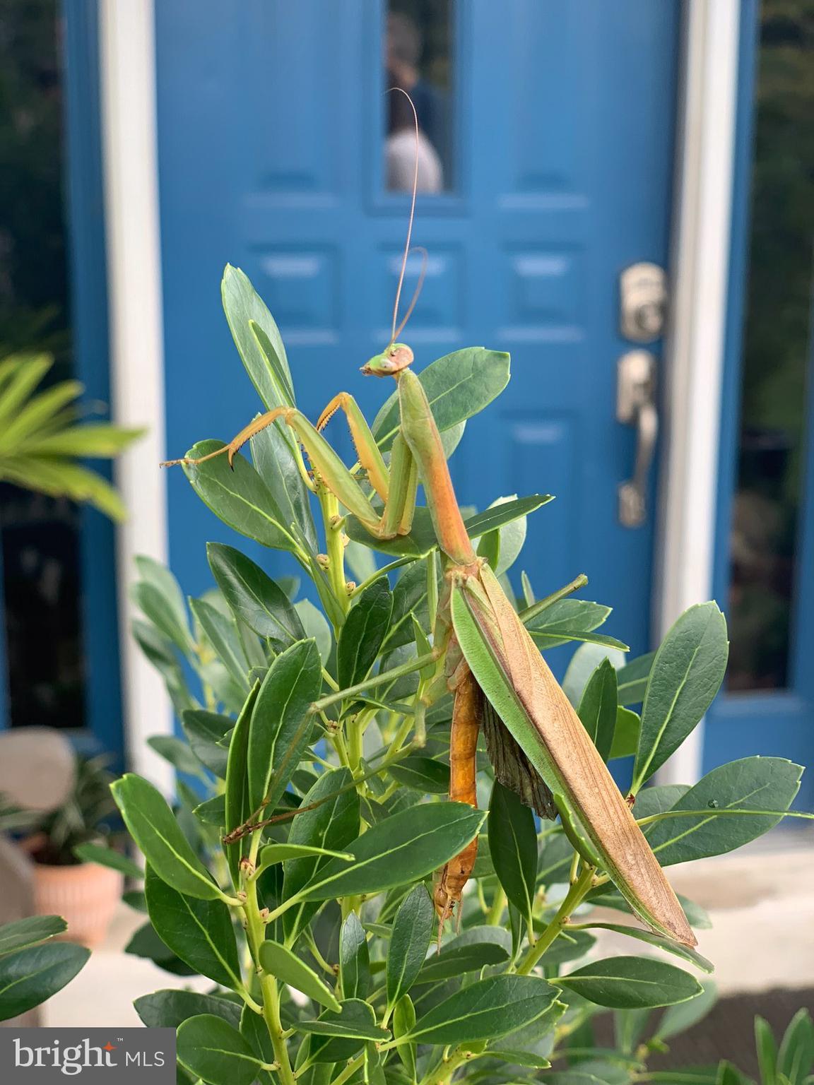 NESHAMINY VALLEY - Residential