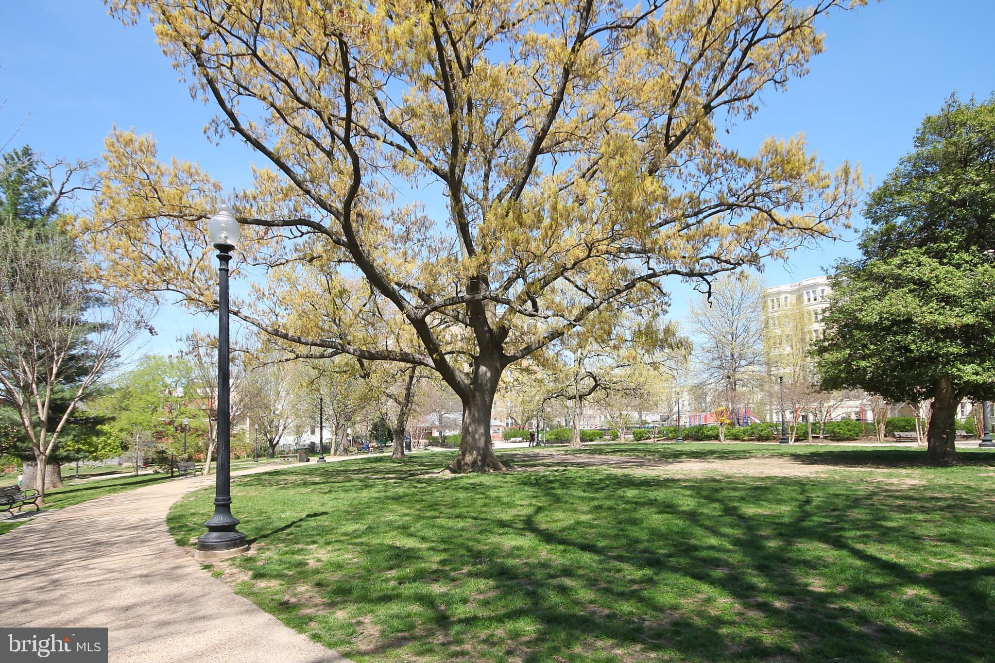 DUPONT NORTH - Residential Lease
