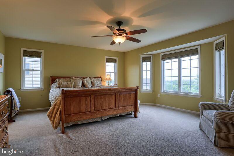 CARRIAGE HILL - Residential