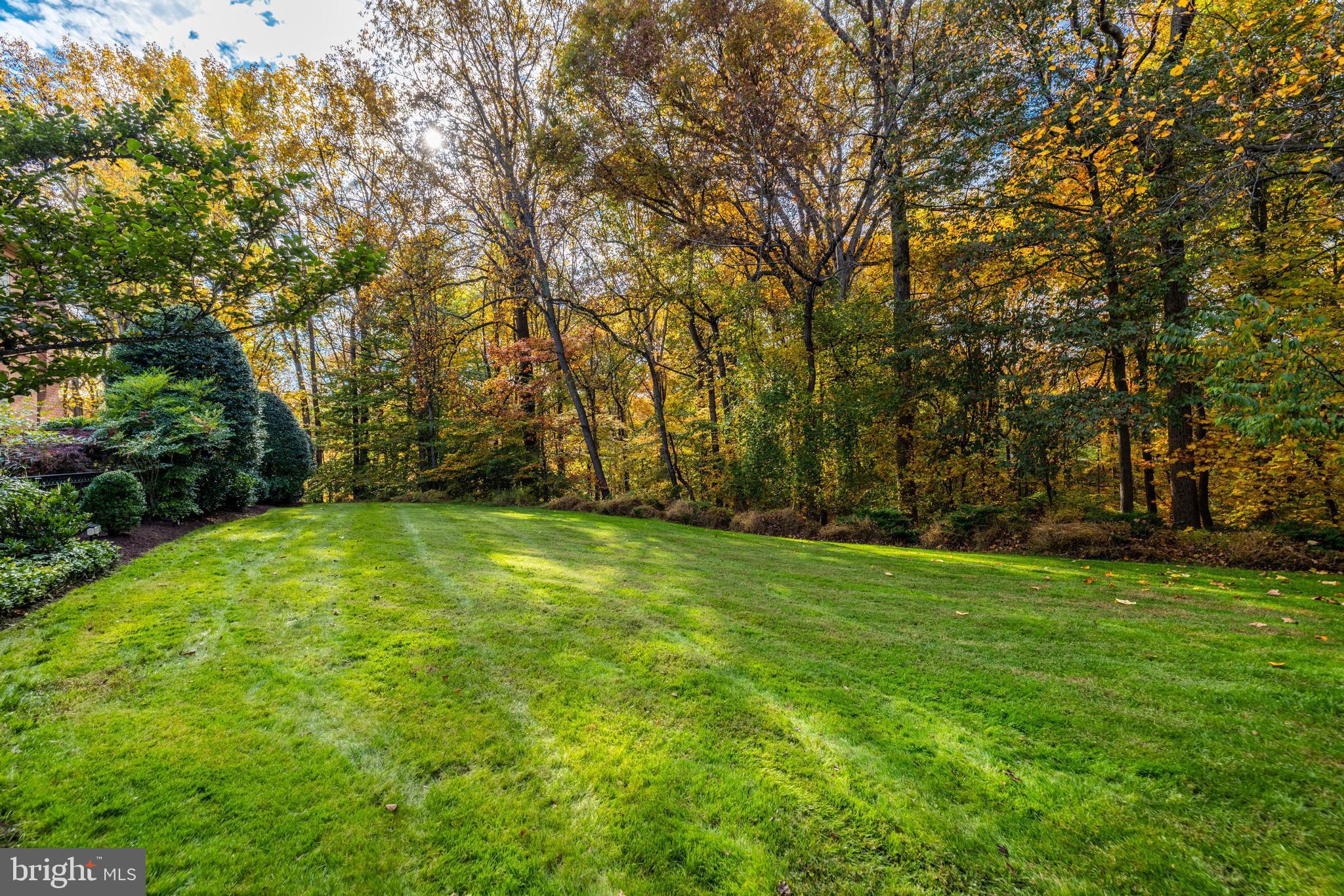 AVENEL - Residential