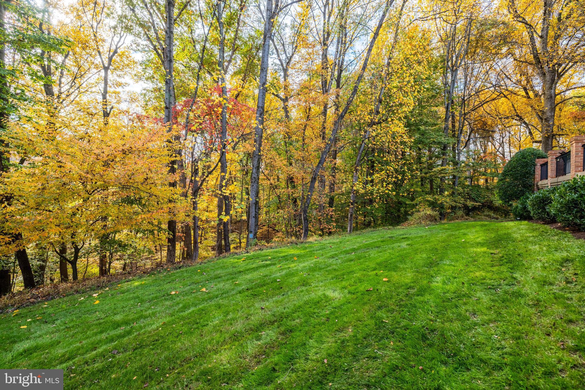 AVENEL - Residential