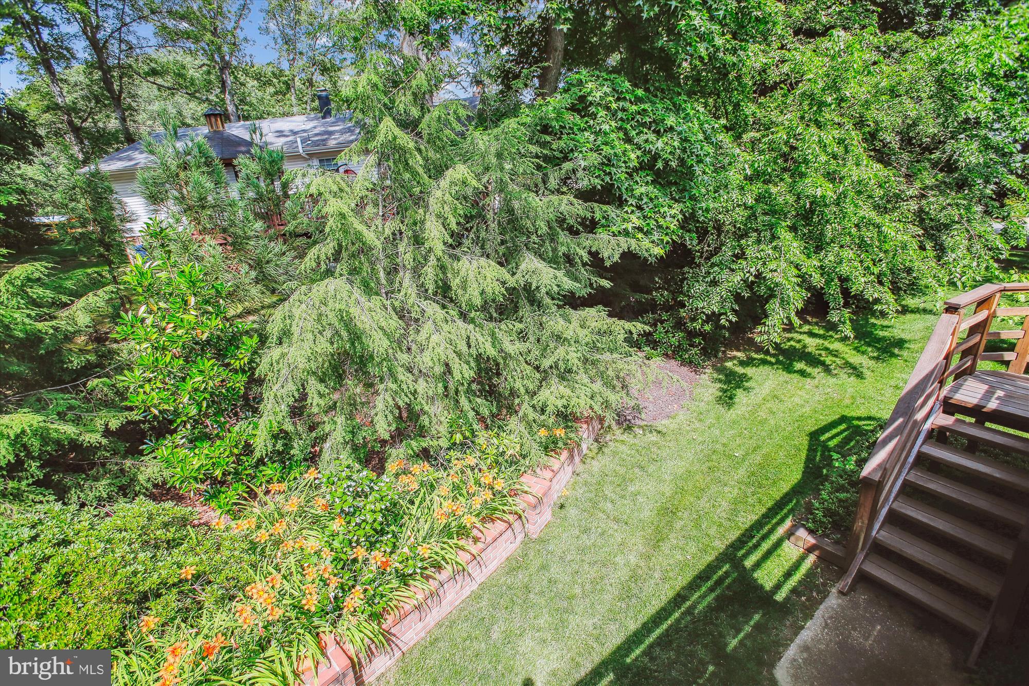 MT VERNON FOREST - Residential