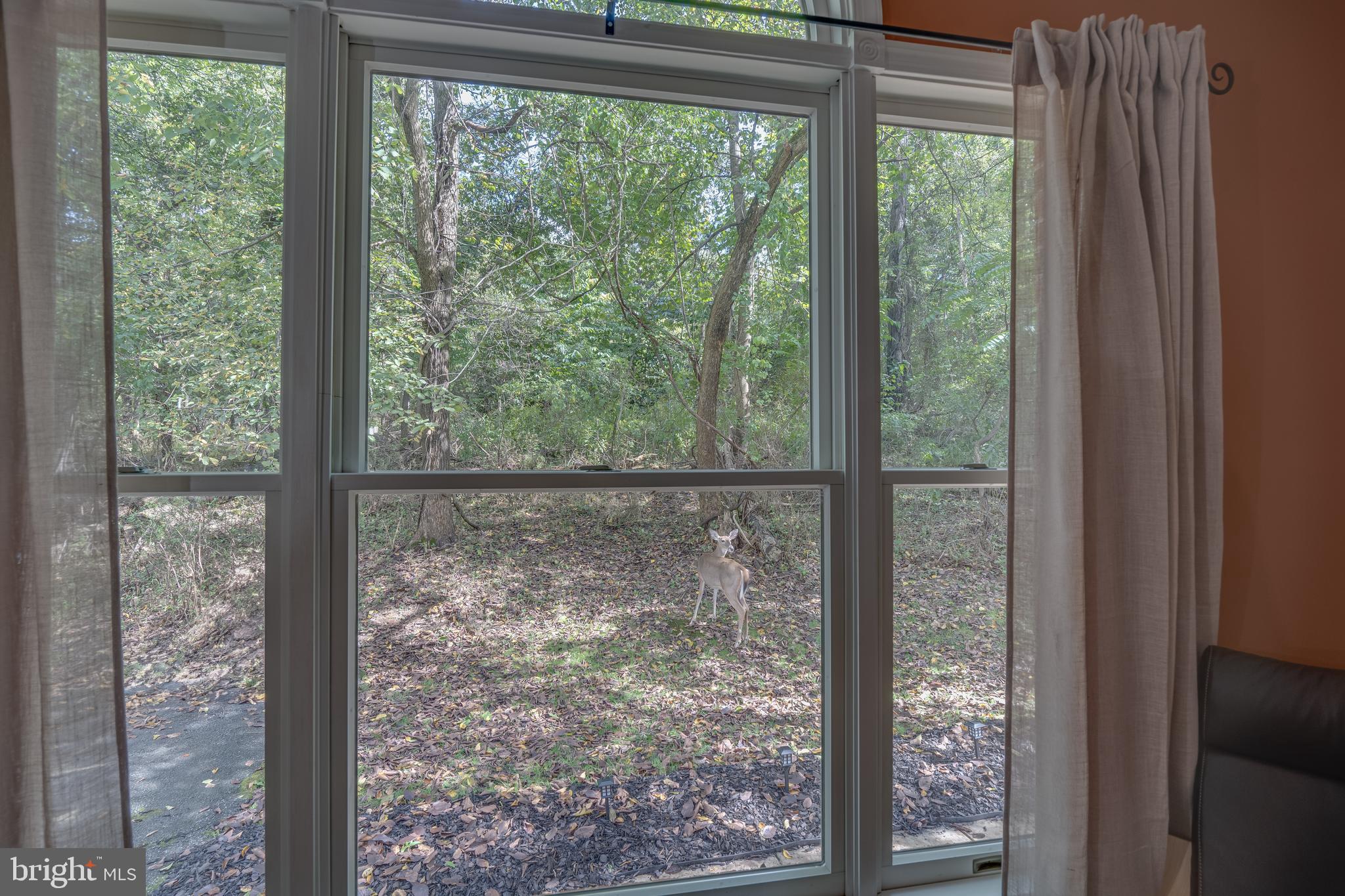 SHANNONDALE - Residential