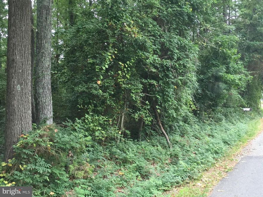 Lots available on 9th St just one block from the potomac River ....estimated size 50x100=7500 Sq Ft for total of three...Lots are located in Classic Shores, Golf Cart Community less than 1 mile to main events & Community Beach ...Looking for a Builder Also: we have floor plans to choose from & many selections ....Town says water/sewer is available for these lots !!