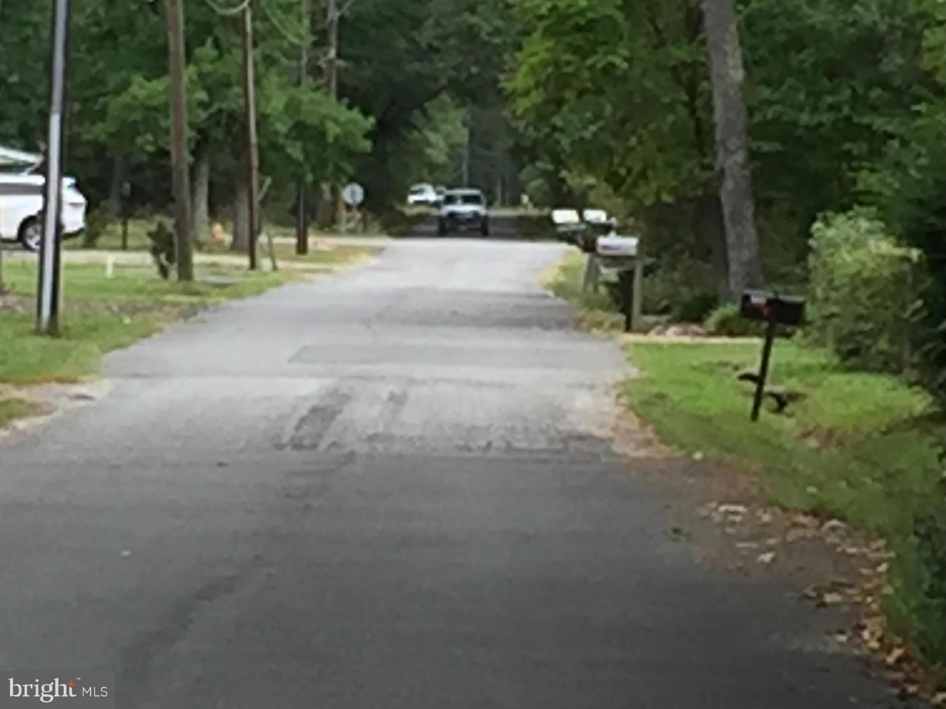 CLASSIC SHORES - Land