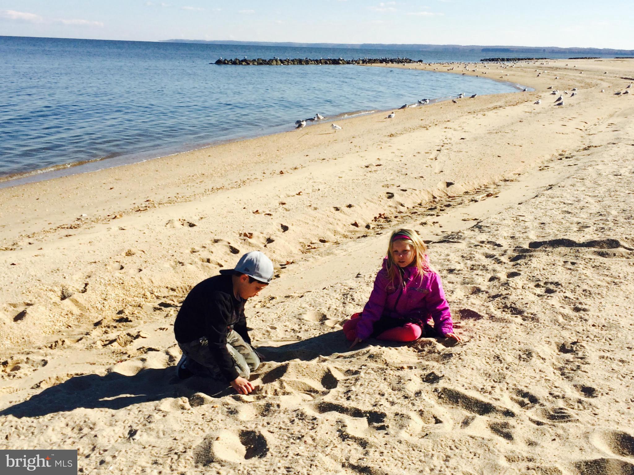 CLASSIC SHORES - Land