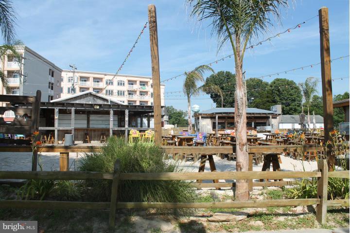 CLASSIC SHORES - Land