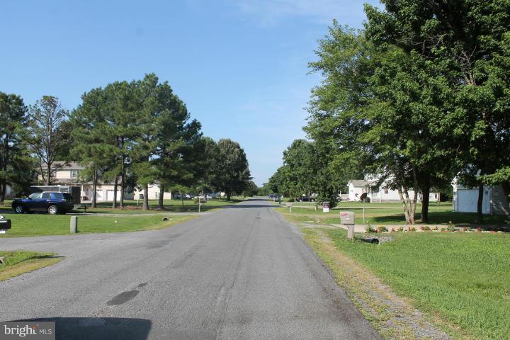 CLASSIC SHORES - Land