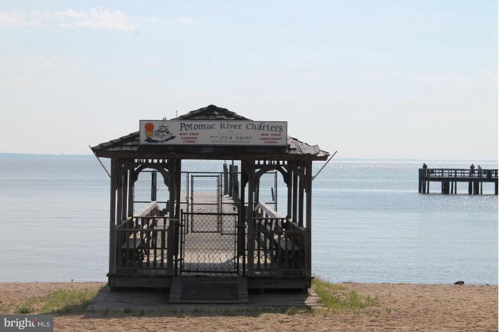 CLASSIC SHORES - Land