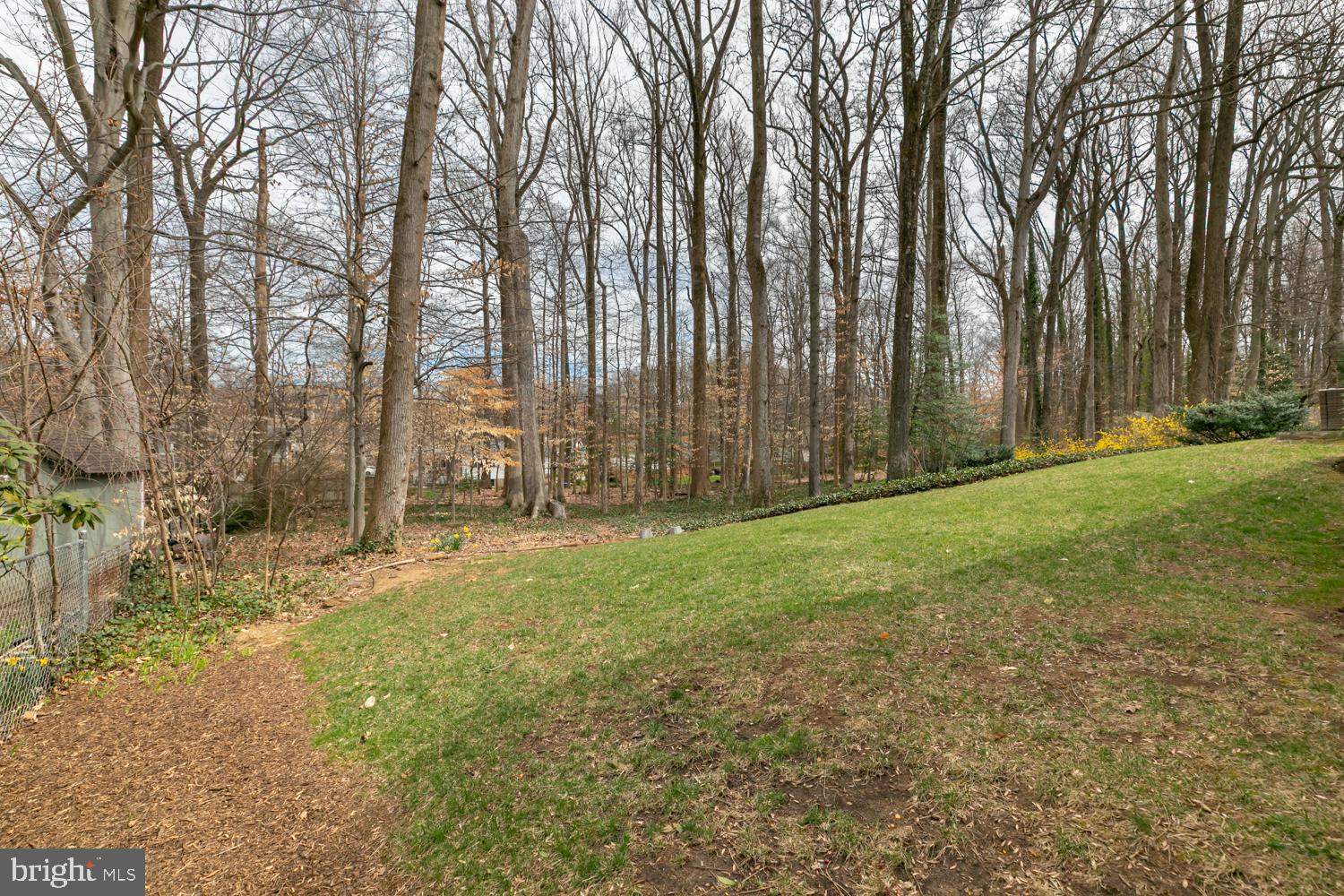 HILLBROOK FOREST - Residential