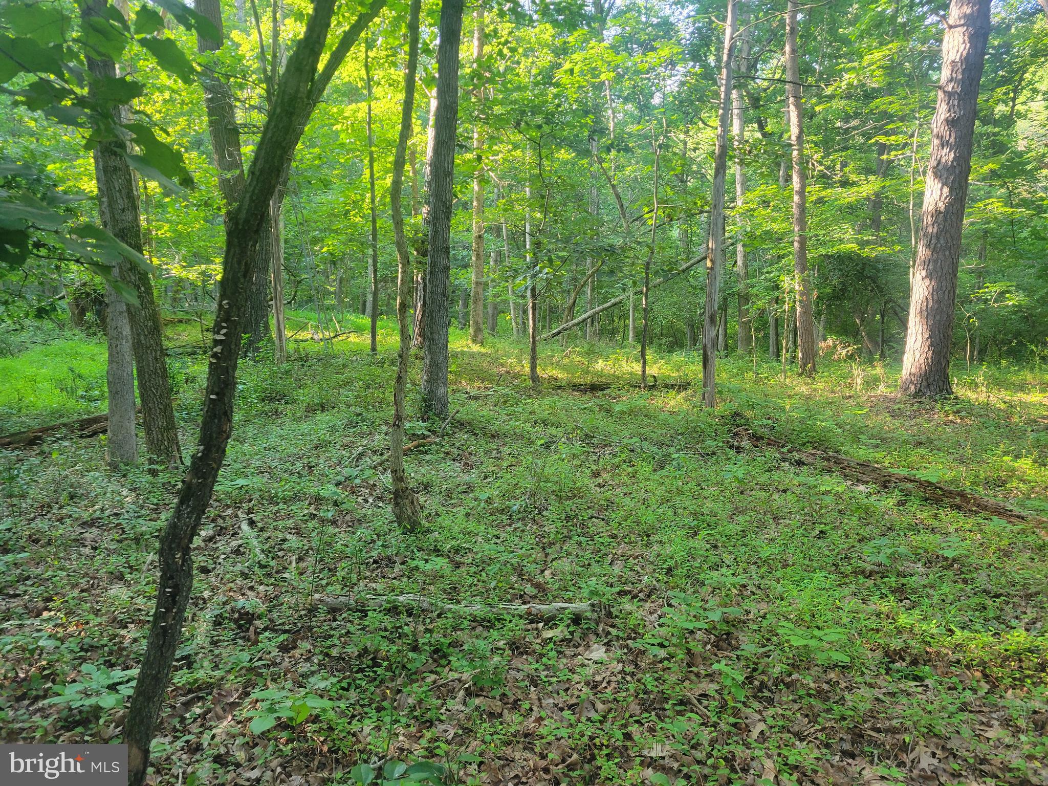 0 SUNDANCE MT. RD.