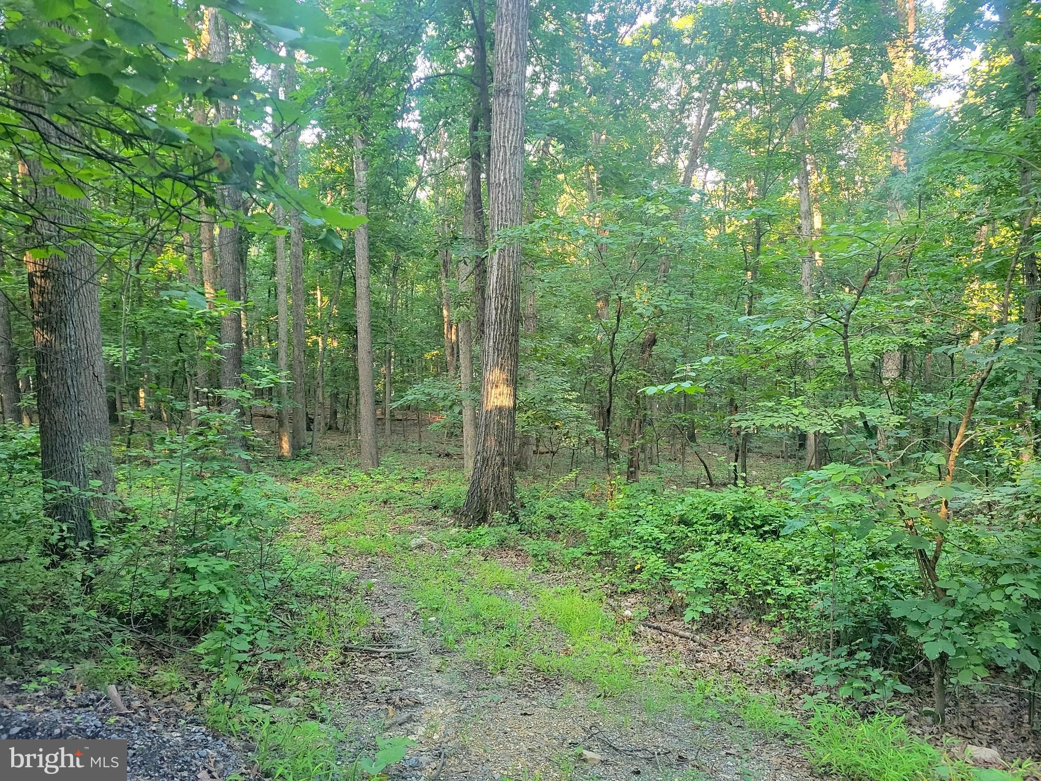 0 SUNDANCE MT. RD.
