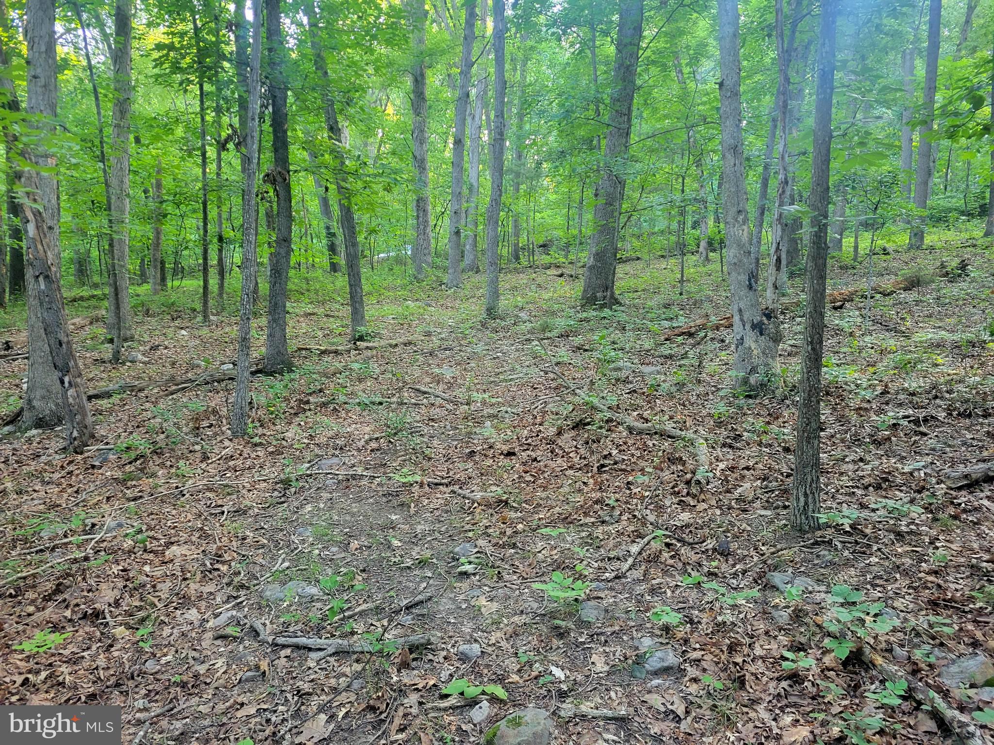 0 SUNDANCE MT. RD.
