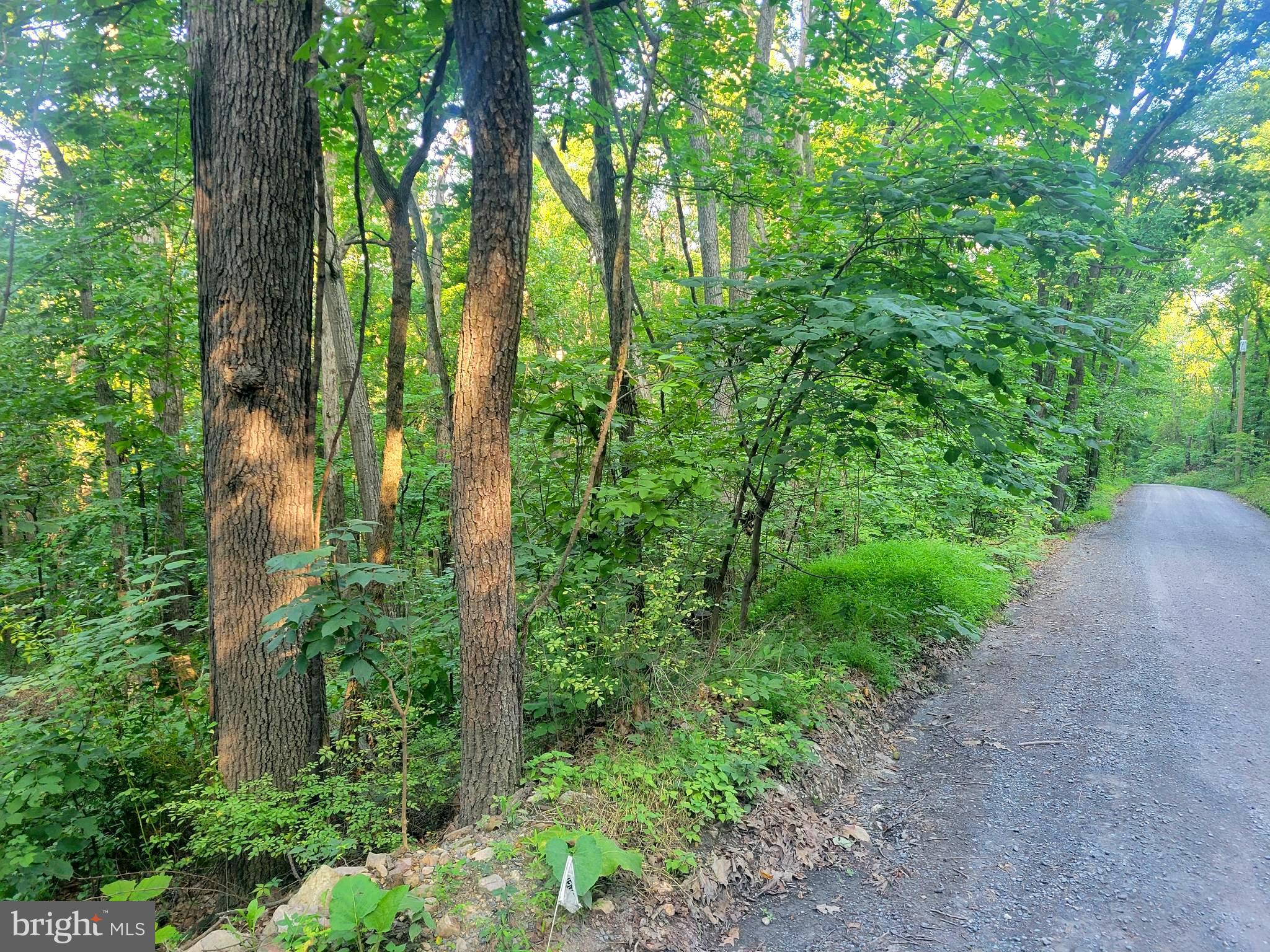 0 SUNDANCE MT. RD.