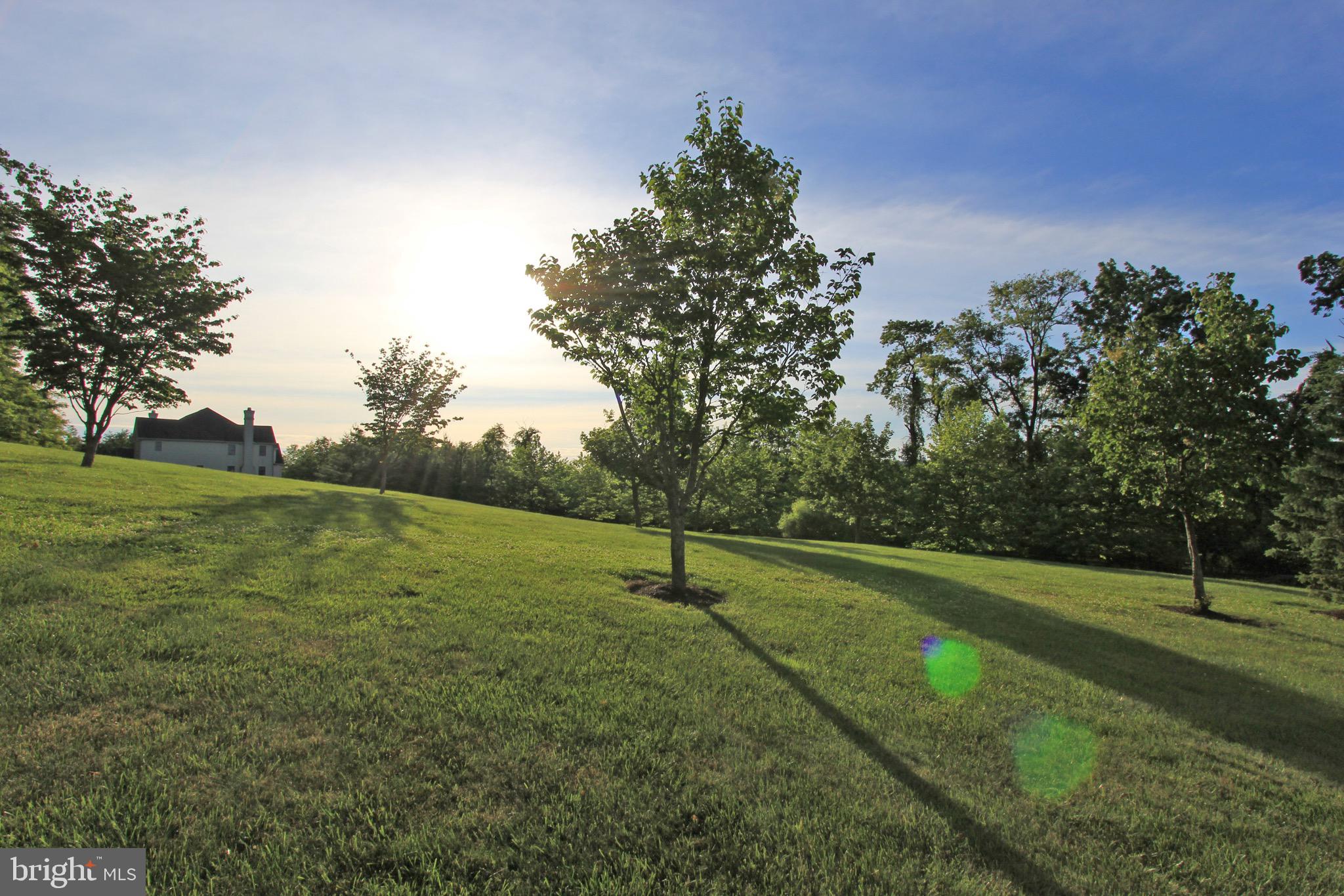 KNOBB HILL - Residential