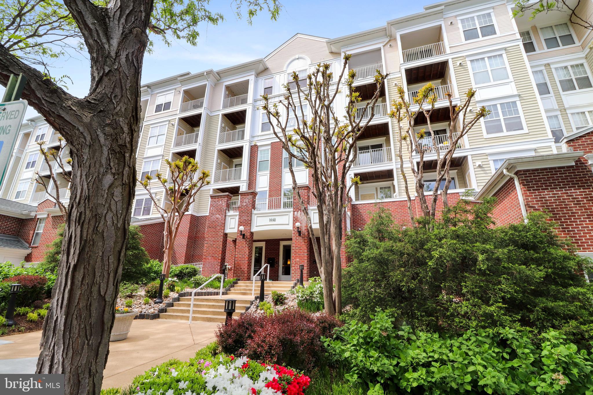 1641 INTERNATIONAL DRIVE 304