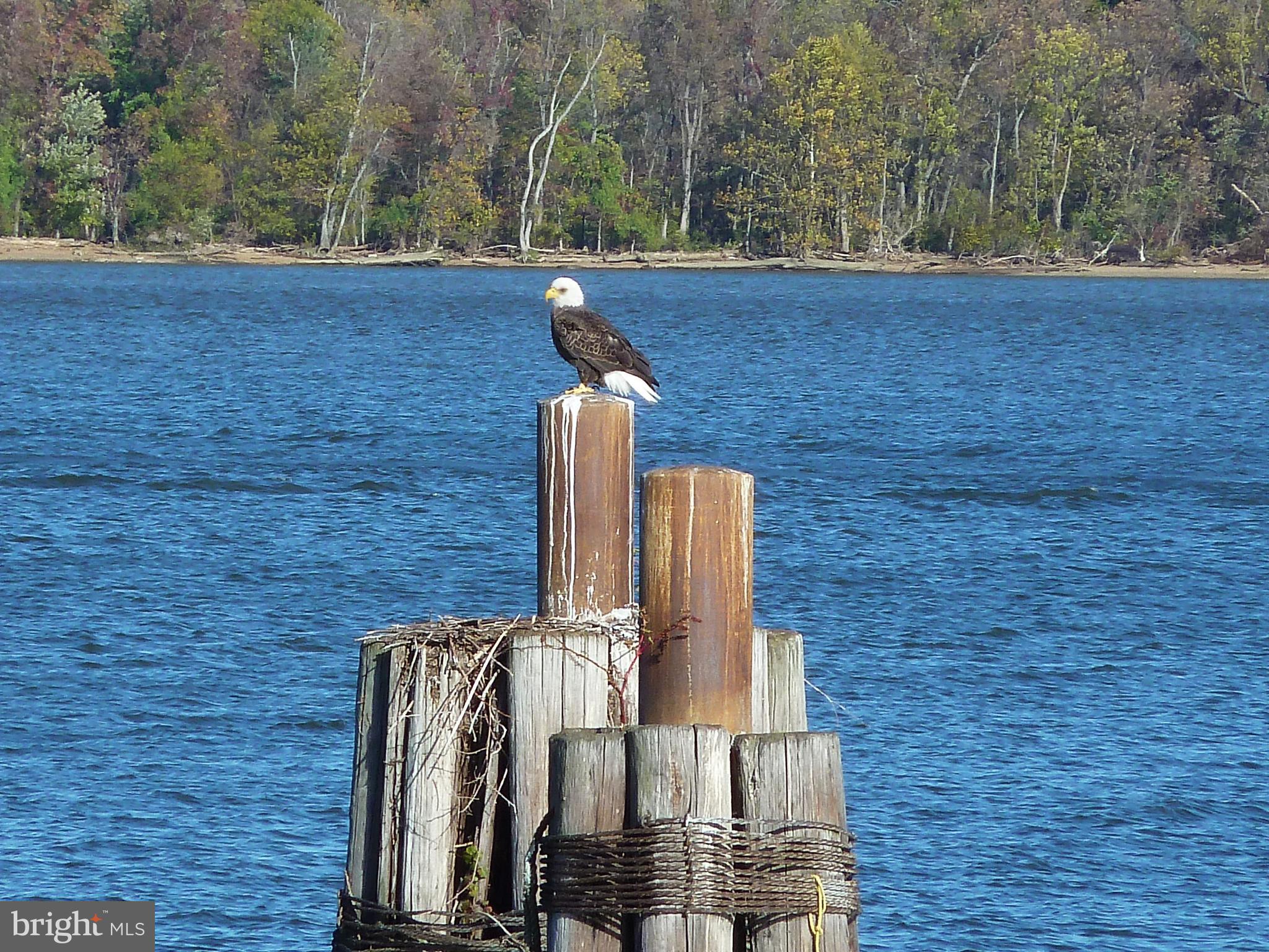 FORDS LANDING - Residential