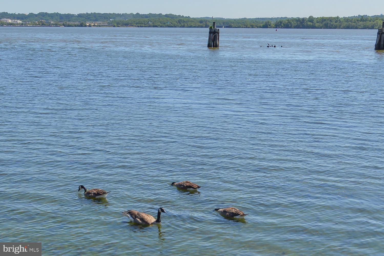 FORDS LANDING - Residential