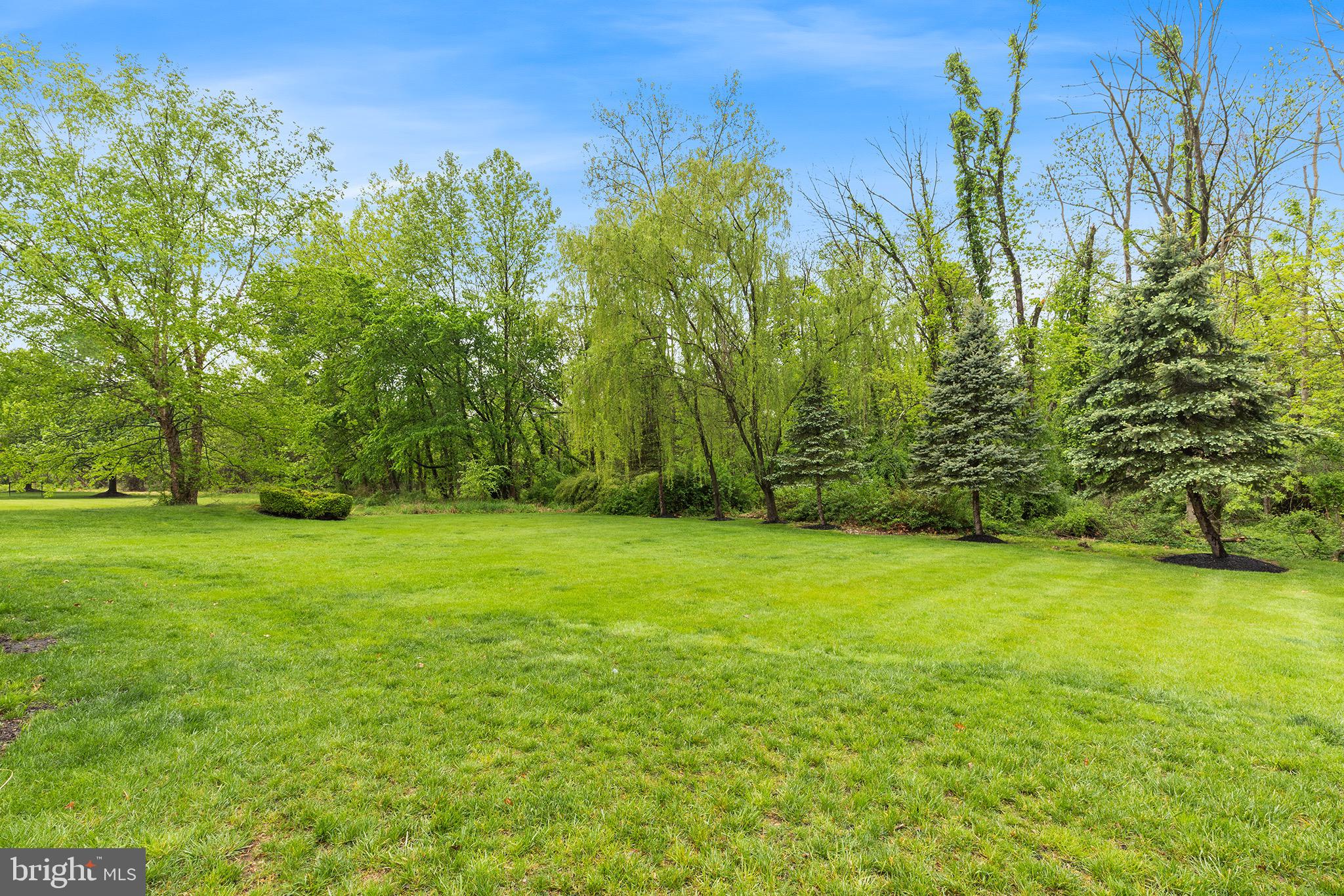 BRIDLE ESTATES - Residential