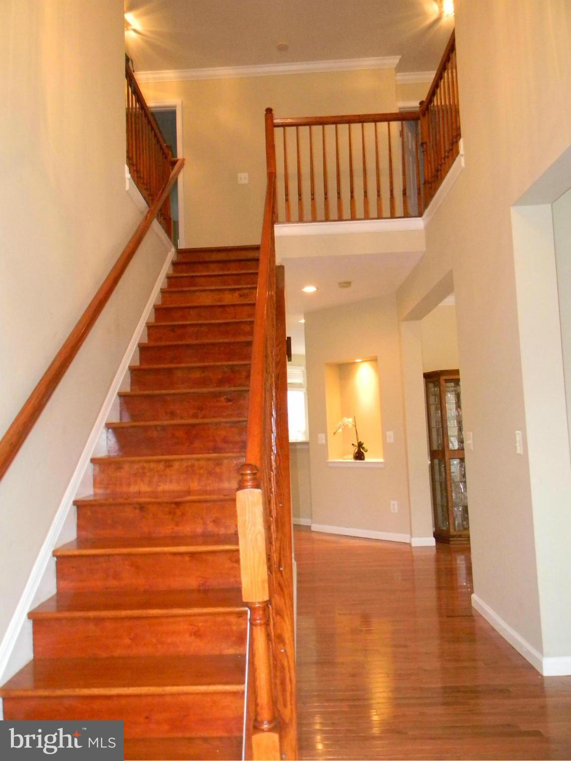 COTON COMMONS - Residential