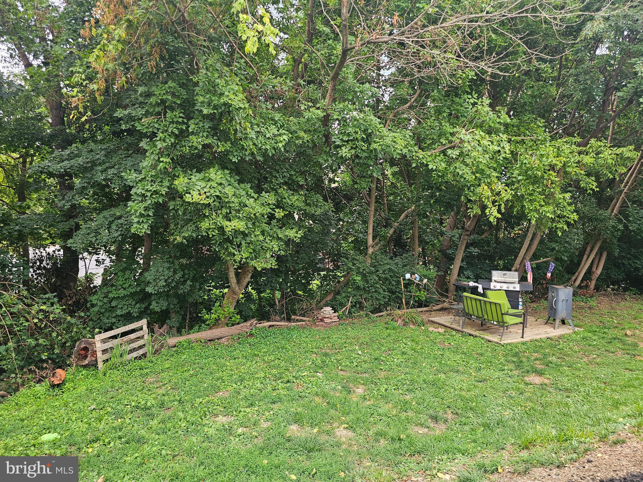 709 PRIMROSE LANE