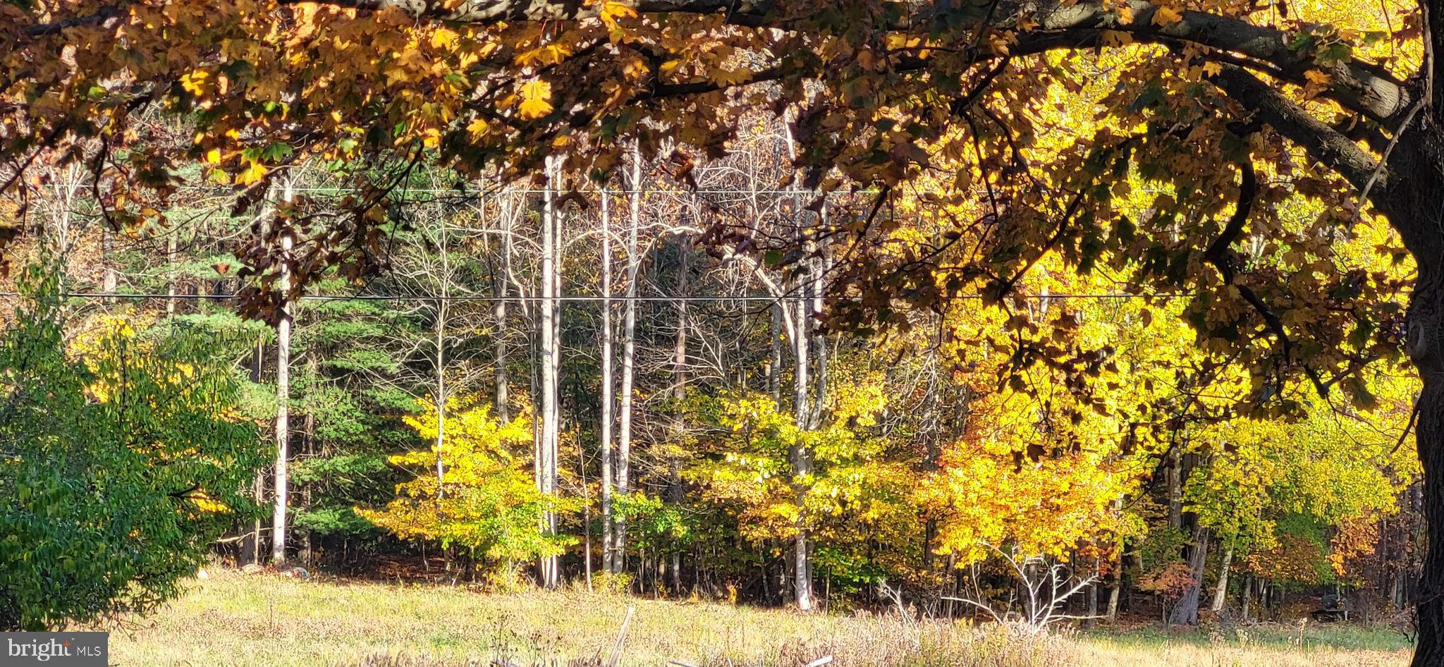 MYERSVILLE - Residential