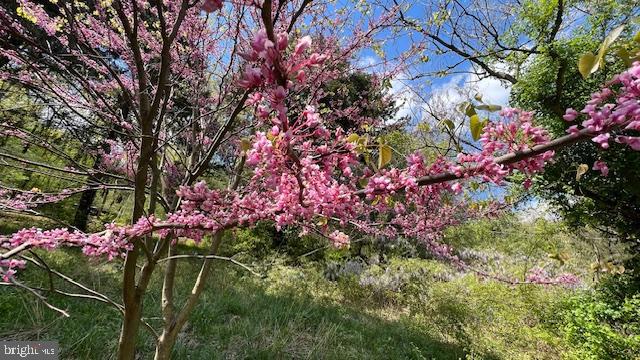 MYERSVILLE - Residential