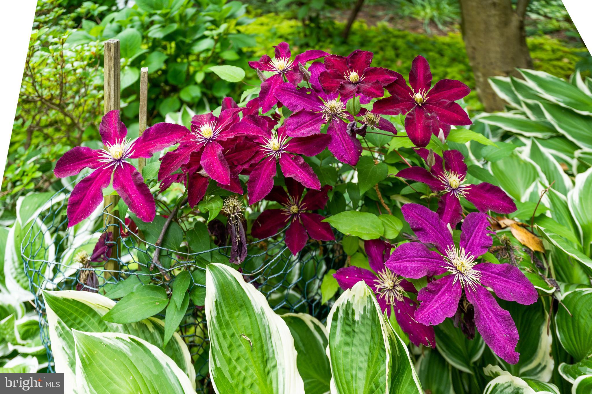 EDGEMOOR - Residential