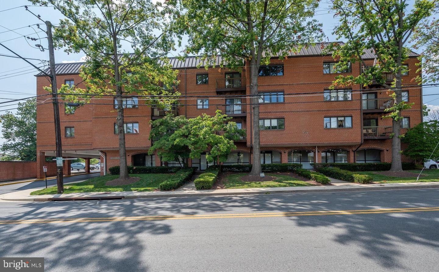 8 RUSSELL AVENUE 311