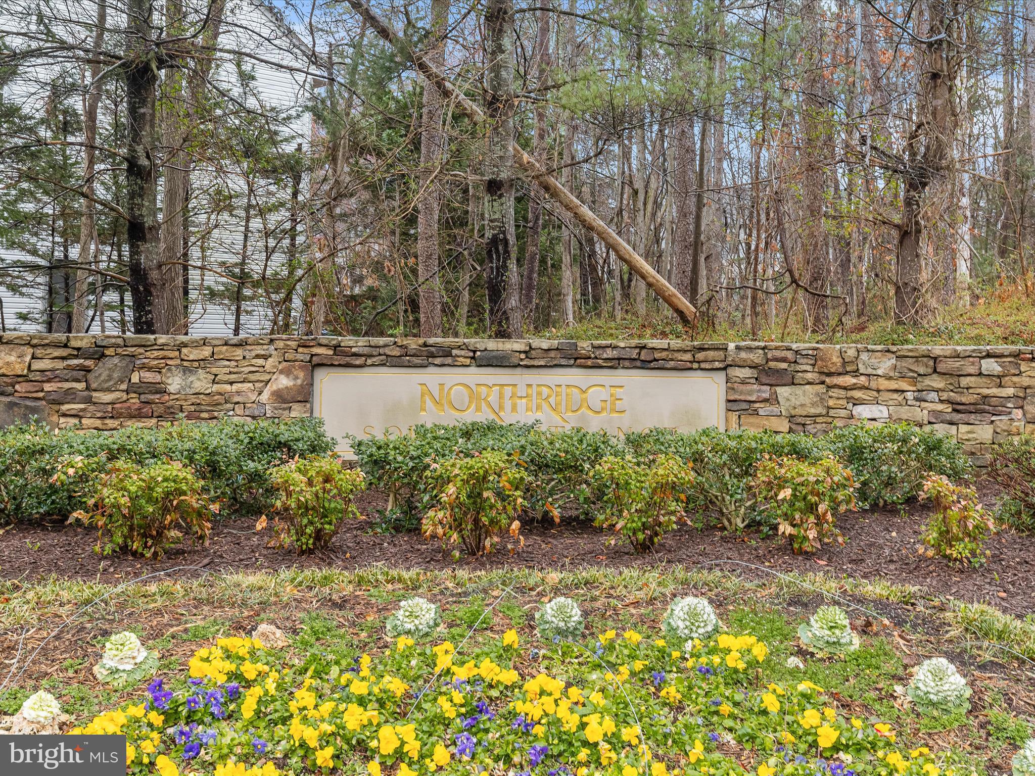 NORTHRIDGE - Residential