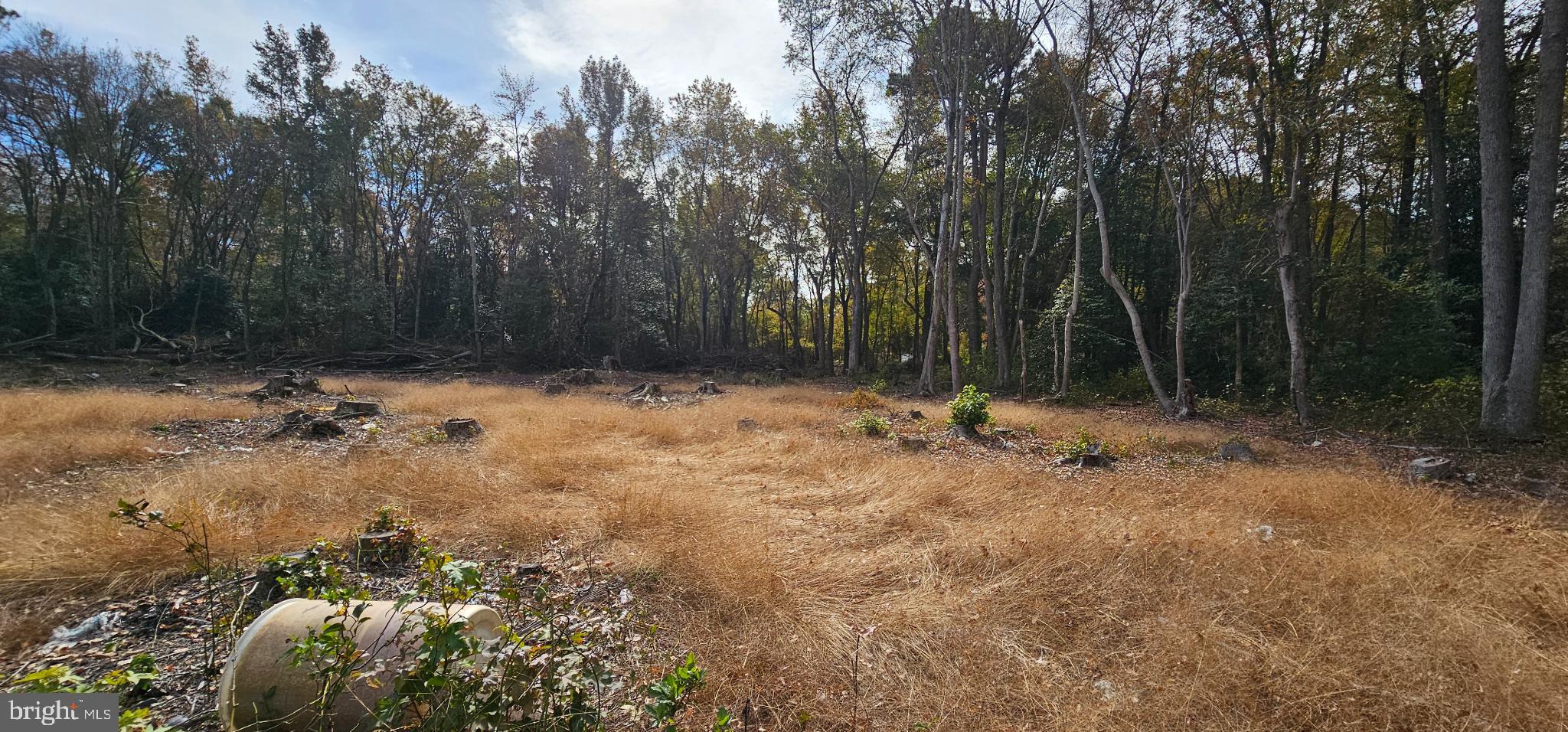 Lot 12 BENJAMIN AVE NORTHWOOD ACRES