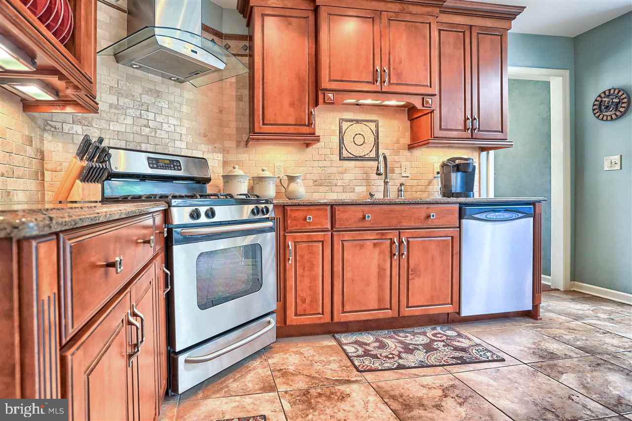 CHESTNUT RUN - Residential