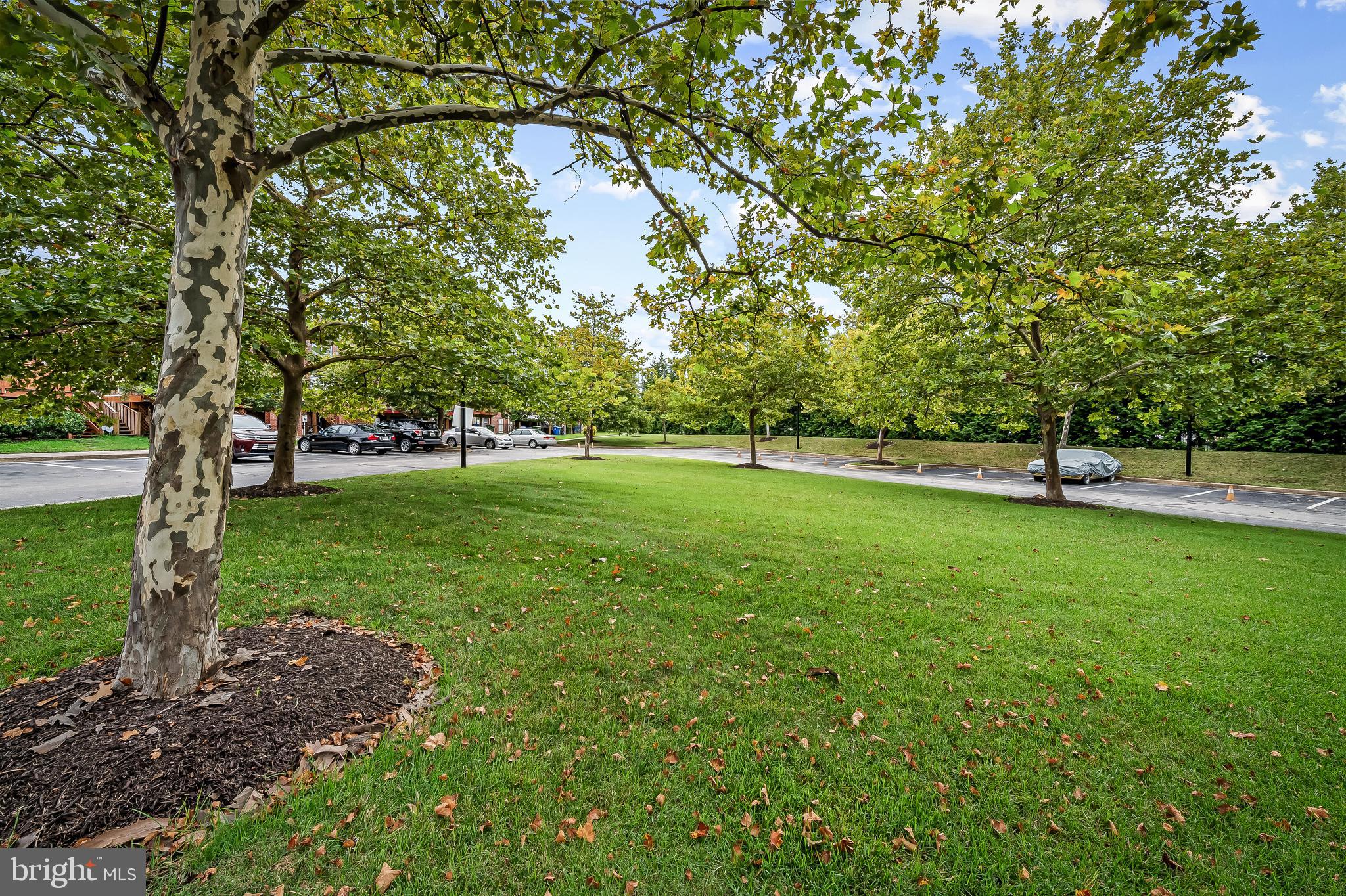 BOLTON HILL HISTORIC DISTRICT - Residential